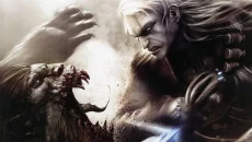 The Witcher - игра в жанре Вид от третьего лица