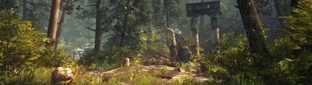The Forest — Трейнер / Trainer (+6) [0.9] [MrAntiFun] / Трейнеры / Читы