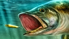 Ultimate Fishing Simulator - игра в жанре Симулятор