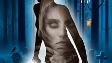 Nancy Drew: Midnight in Salem - игра в жанре Приключение