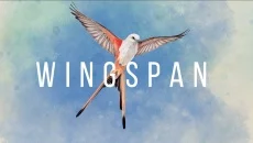 WINGSPAN - игра в жанре Кооператив (co-op)