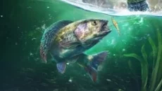 Ultimate Fishing Simulator 2