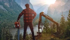 Lumberjack's Dynasty - дата выхода для PC