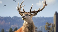 Way of the Hunter Wild Europe - игра в жанре Шутер