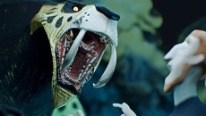 Night of the Extinct