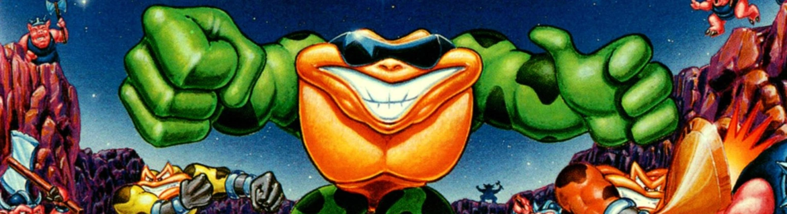 Battletoads (1991) - обложка игры