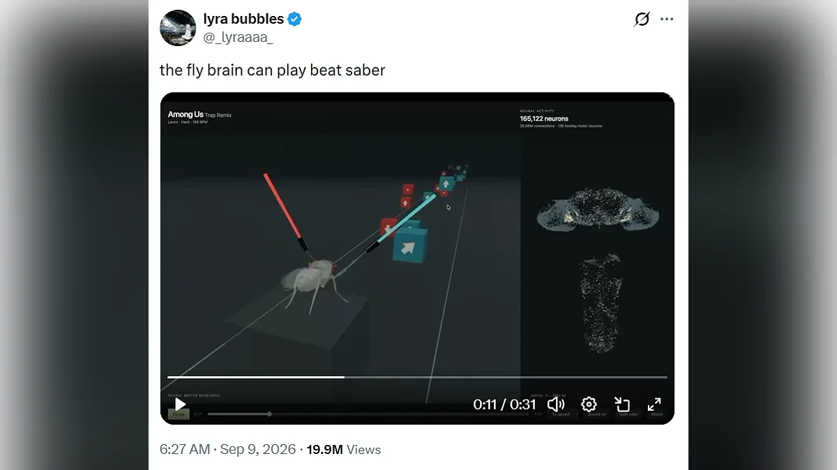 Мозг мухи может играть в Beat Saber