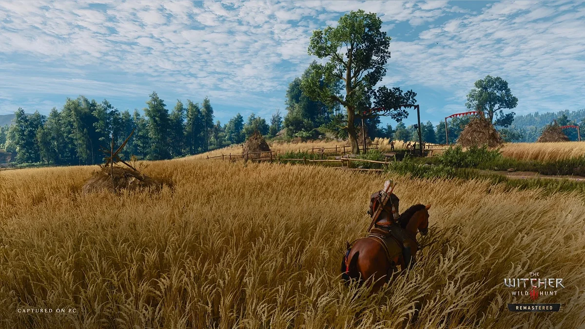 Скриншот The Witcher 3 Remastered